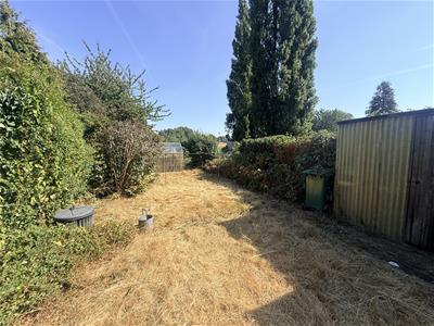 Picture 18